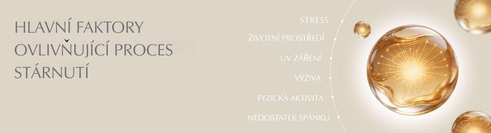Longevity-dlouhovekost-faktory stárnutí